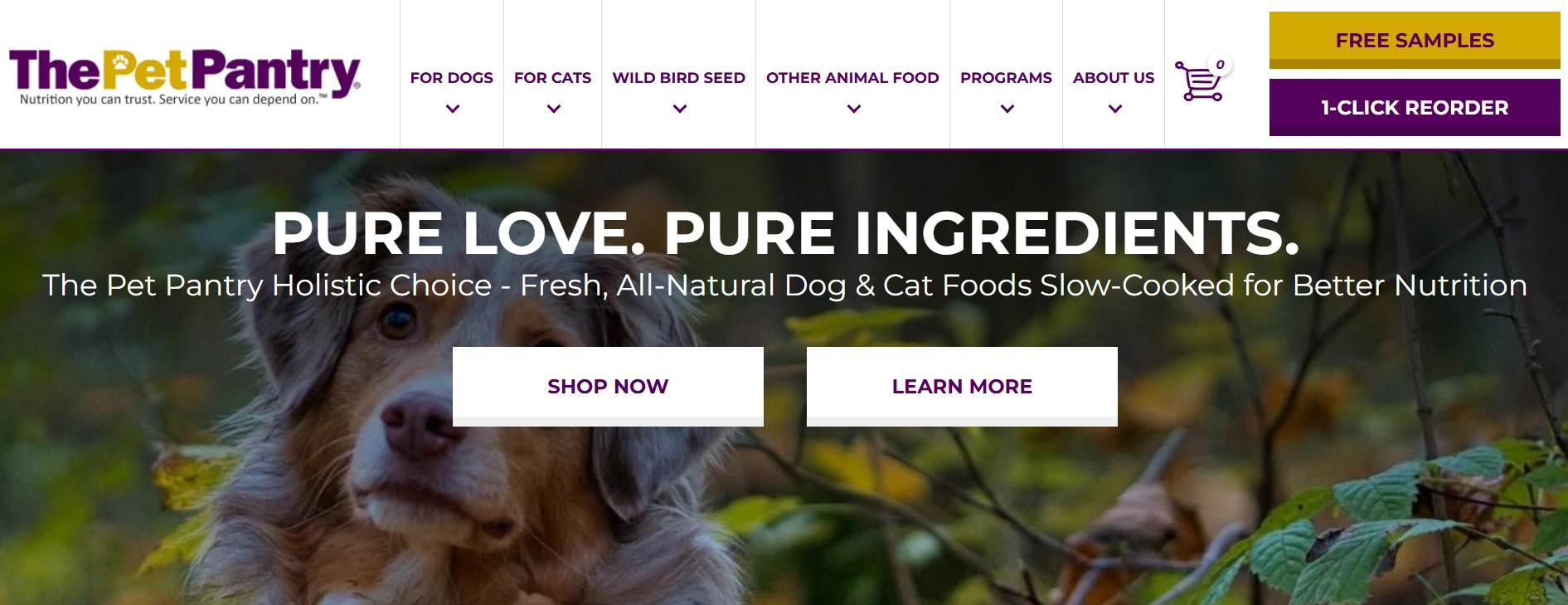 Pet Supplies Store Names